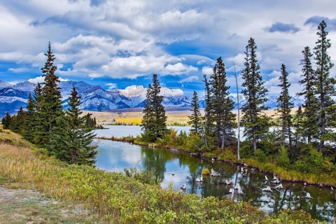 The valley along the Pocahontas road. Shallow-water lakes, picturesque firs and distant mountains.