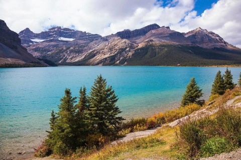 Gorgeous sunny day at Bow Lake, Canadian Rockies. The lake is surrounded by rocks and pine trees
