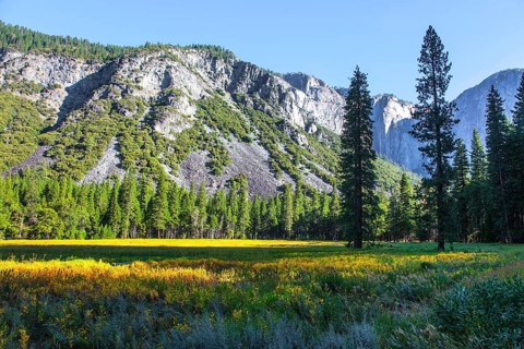 The monolithic rock El Capitan and majestic mountains surround the Yosemite Valley. The picturesque