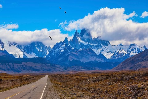 Over the road flying flock of Andean condors. The highway crosses the Patagonia and leads to