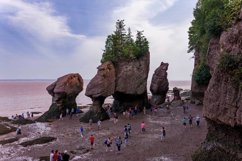 The distinctive sea staks and rock formations best known as Flowerpot Rocks in Hopwell Rocks