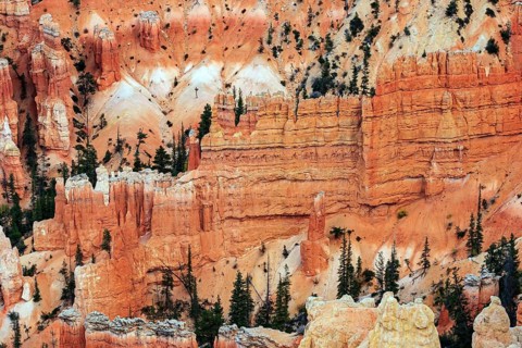 Giant hoodoo painting wall. Bryce Canyon, USA. Giant natural amphitheater created by erosion.