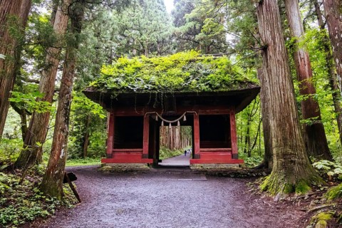 TOGAKUSHI, JAPAN - SEPTEMBER 19, 2024: Zuishinmon Gate and landscape around Togakushi Shrine on a