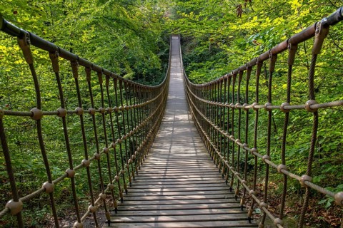 Wooden suspension bridge over a gorge, beautiful nature and trees in the Hunsrück, Germany
