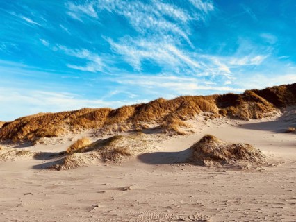 Idyllic sandy beach on the Danish North Sea can be seen stretching out under a bright blue sky