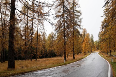 Idyllic and beautiful empty rural road passing through the Italian alpine alps mountains with