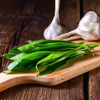 Fresh and tasty wild garlic