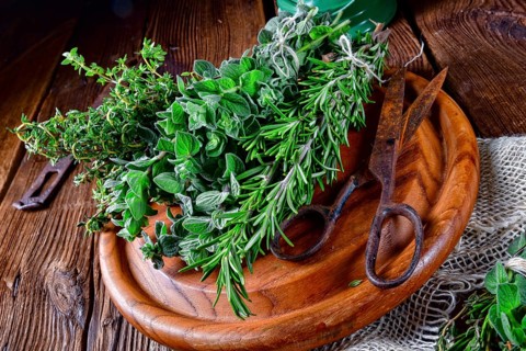Herbal collection of: thyme, oregano, rosemary