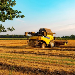 Big combine harvester threshing in the sunset