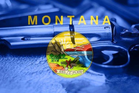 Montana flag (U.S. state) Gun Control USA. United States Gun Laws