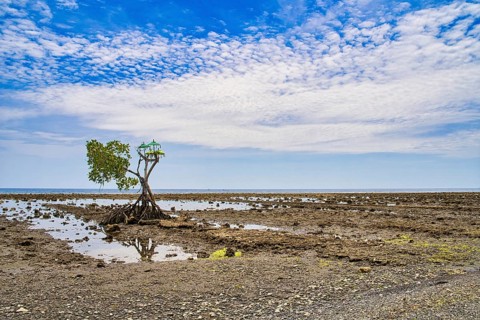 Beachsite near the former fisher-village Pemuteran at the North of Bali island. There was a Hindu