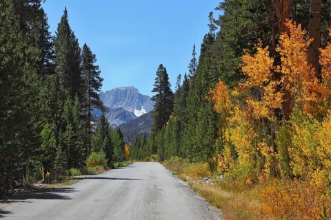 Sunny autumn afternoon. Excellent asphalt road among colorful autumn foliage