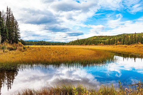 Autumn trip to the west of Canada. The cold shallow lake is surrounded by an evergreen forest. The