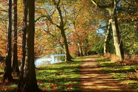 Hiking trail in autumn