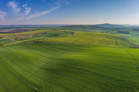Aerial view of amazing green wavy hills with agricultural fields in spring. South Moravia region,