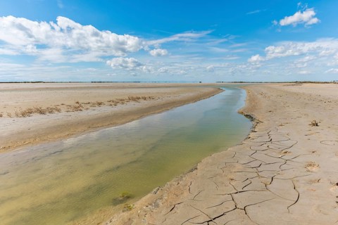 Typical landscape in a lagoon of the Rhone delta in the Camargue. Saintes Maries de la Mer, Parc