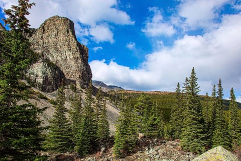 Surroundings of the mountain lake Moraine. Cloudy and cold autumn day. The magnificent Canadian