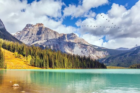 Magnificent Emerald Lake. Picturesque huge lake in the Canadian Rockies. Early morning. Coniferous
