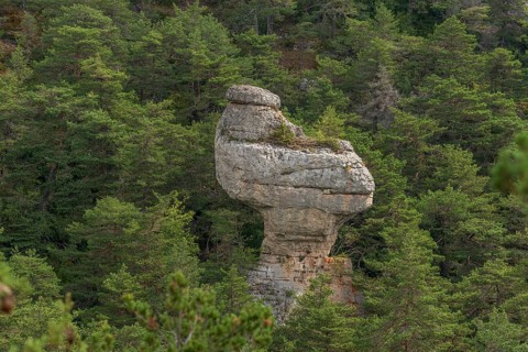 Remarkable rock called La Poule de Houdan in Cevennes National Park, UNESCO World Heritage Site.