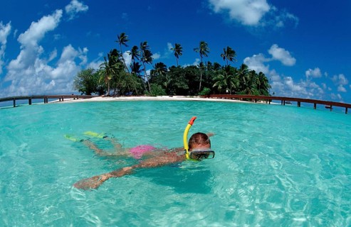 Snorkelling off Maldives Island, Maldives, Indian Ocean, Medhufushi, Meemu Atoll