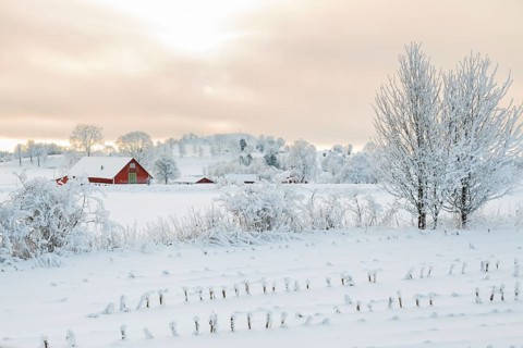 Rural winter landscape with a farm