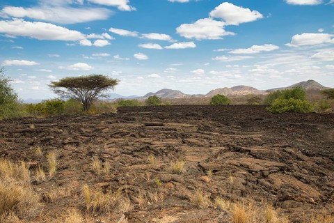 Landscape at the Shetani lava field, Tsavo West National Park, Kenya