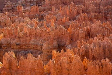Bryce Canyon, Utah, USA