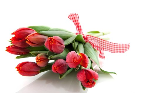 Bouquet fresh red tulips with checkered ribbon