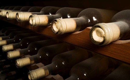Wine bottles on shelf. Wine cellar. Close up wine bottles