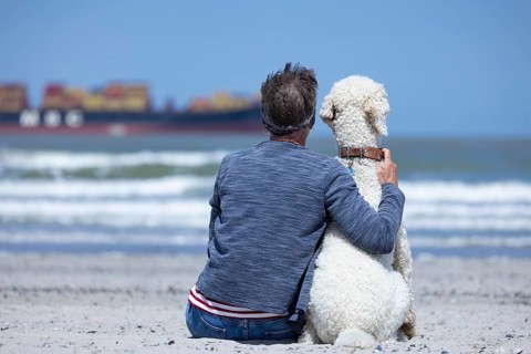 Woman sits together with her dog, a white poodle, amicably familiar on the beach in the sunshine,