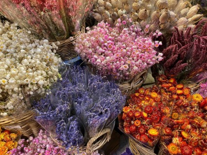 Flower Market in Amsterdam. It is the only floating flower market in the world, and one of the most