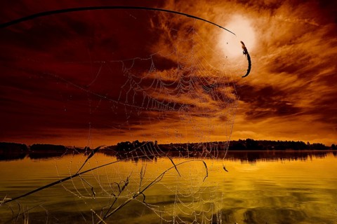 In the foreground a spider's web wet with dew, in the background a lake and a sunrise
