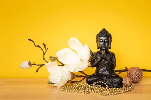 An image of a buddha statue sign for peace and wisdom