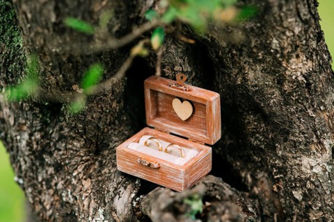 Wedding rings in a wooden box for rings handmade in the grass