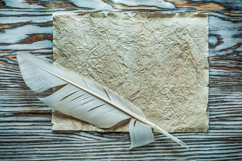 Vintage paper feather on wooden board top view