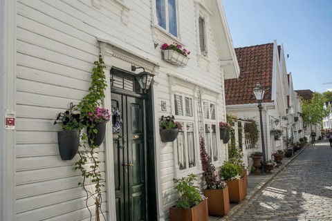 Narrow alley with white houses and many blooming flowers in pots, stavanger, norway