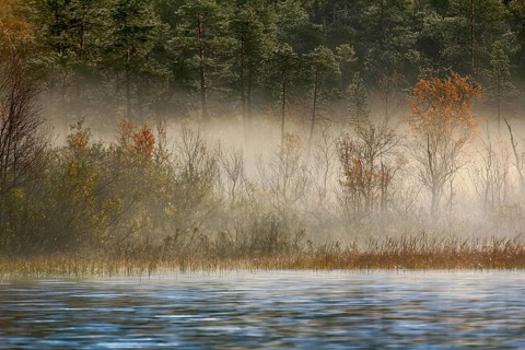 Gorgeous autumn landscape with river and misty forest, in the out-of-doors, boat trip on the river