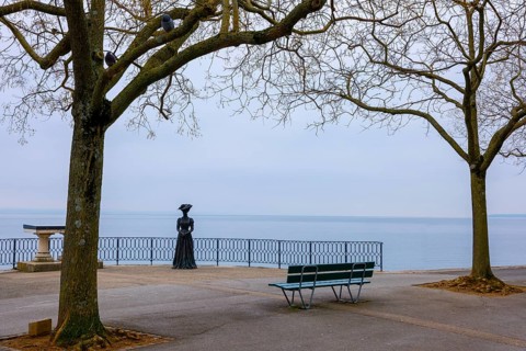 Waterfront with Bare Tree and Statue on Lake Neuchatel in Old Town in a Foggy Winter day in City of