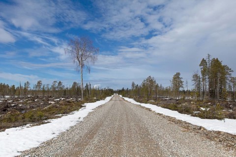 Gravel Julma-Ölkyntie road in forest in cloudy spring weather, Hossa National, Park, Suomussalmi,