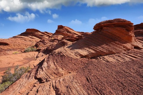 Quaint and picturesque forms cliffs of red sandstone. Walk around the famous Horseshoe Canyon