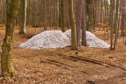 A white cairn in the woods