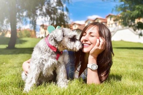 Pretty adult caucasian happy woman resting in the park on a sunny day with her beloved dog. Female