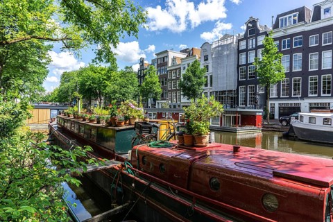 Houseboats in Amsterdam in summertime with beautiful houses in the background and Green trees