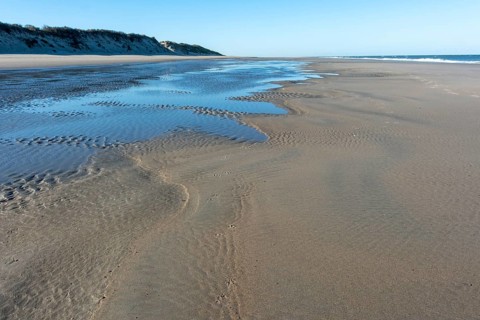 Low tide, which drains the seawater from the North Sea