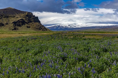 Roadside ring road, Iceland