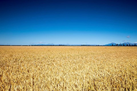 An image of a beautiful landscape in the south part of New Zealand