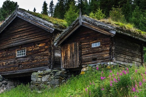 Traditional Timber house with grass roof in the Setesdal in Norway in natural landscape. Old Timber