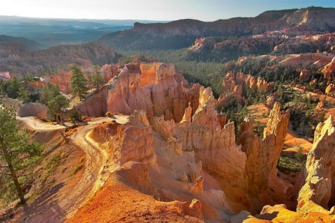 The well-known orange rocks in Bryce canyon in state of Utah USA