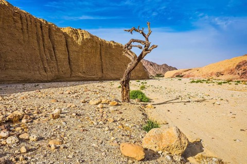 The stone desert in neighborhood of the sea resort of Eilat. Walking route on picturesque Black