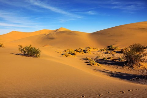 Mesquite Flat Sand Dunes. Bright solar morning in picturesque part of Death Valley. Gentle slopes